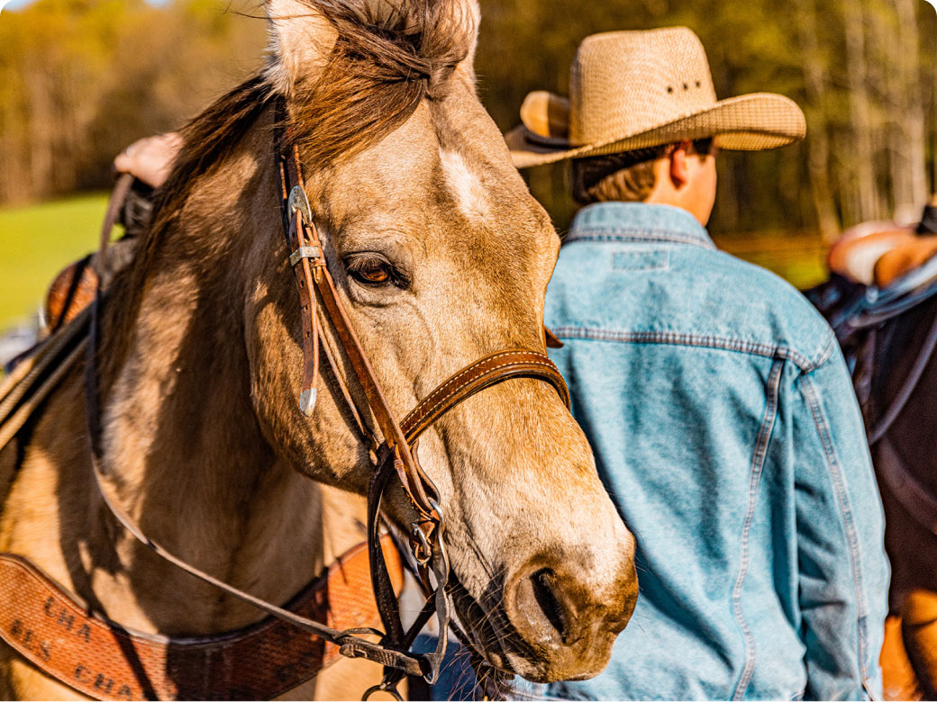 Cowboy and his horse getting prepared for Rodeo in the valley events.