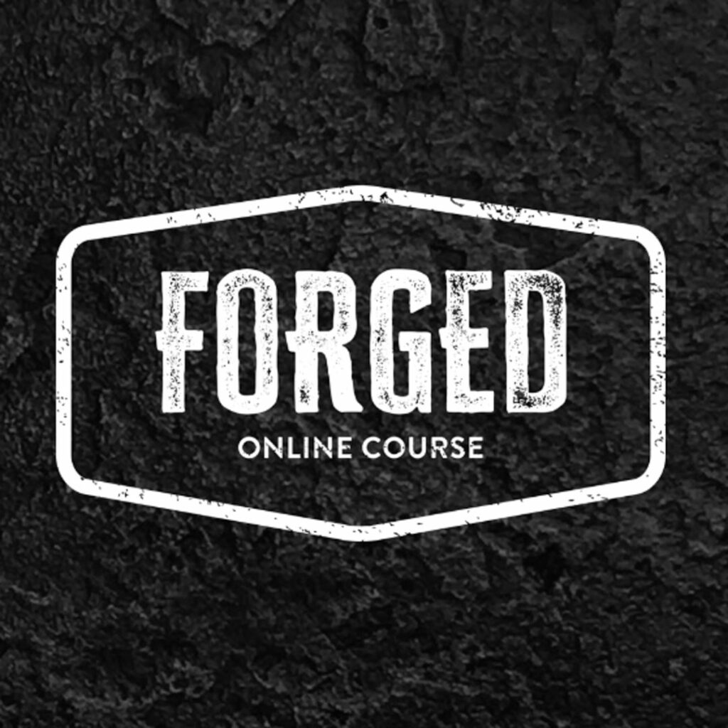 A sleek and modern logo for knight forge an online course.